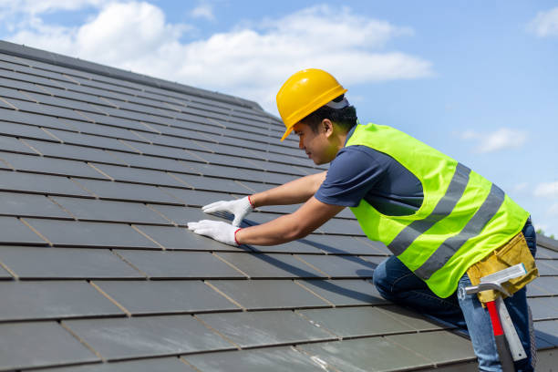 Best Roof Gutter Cleaning  in Grant, AL