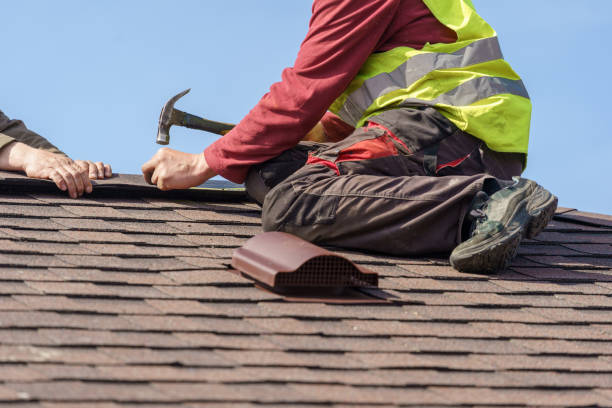 Best Roof Gutter Cleaning  in Grant, AL